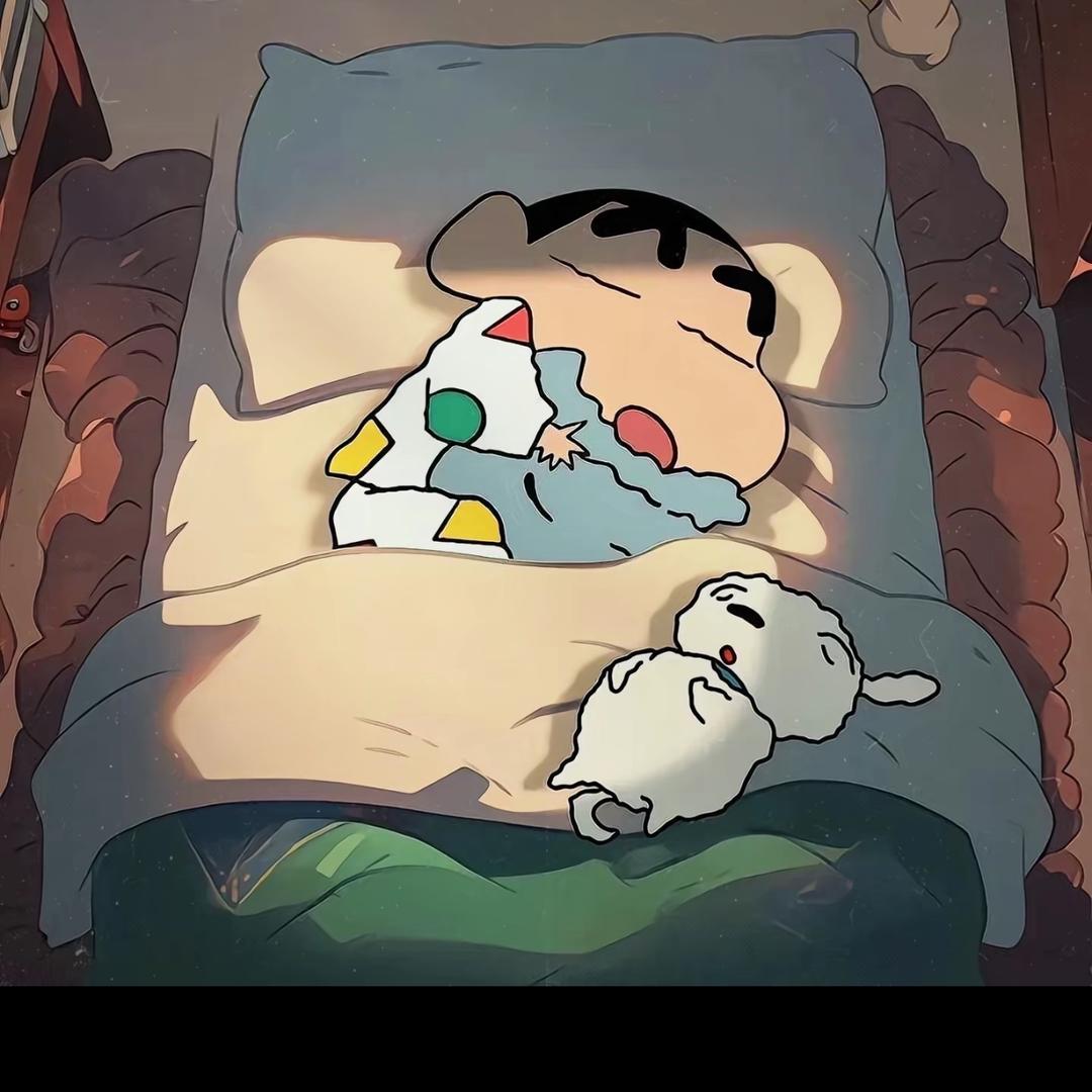 入冬的羊🌌