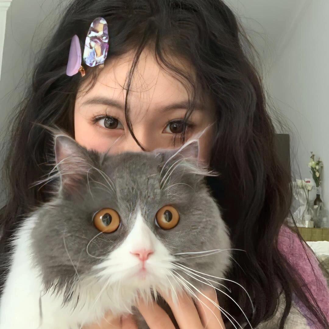 是张张吖