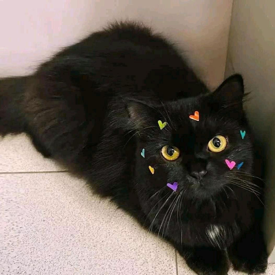 噶凑层嗨逼逼机