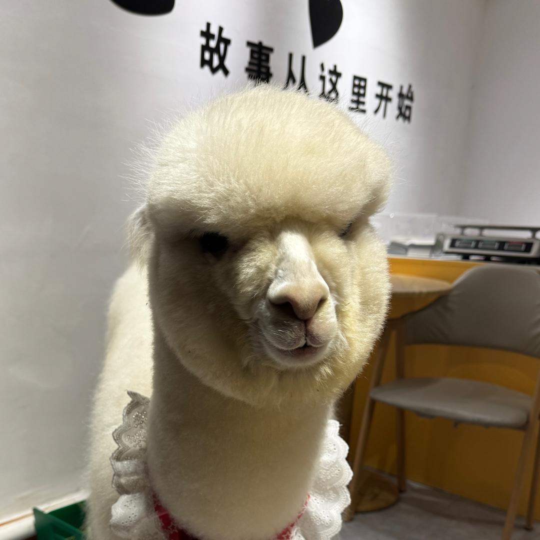完结撒花