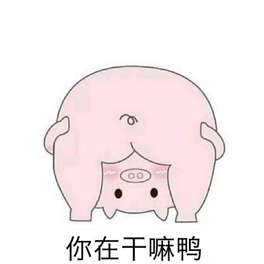 扣子