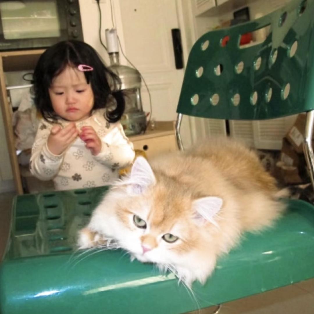晓川柰子