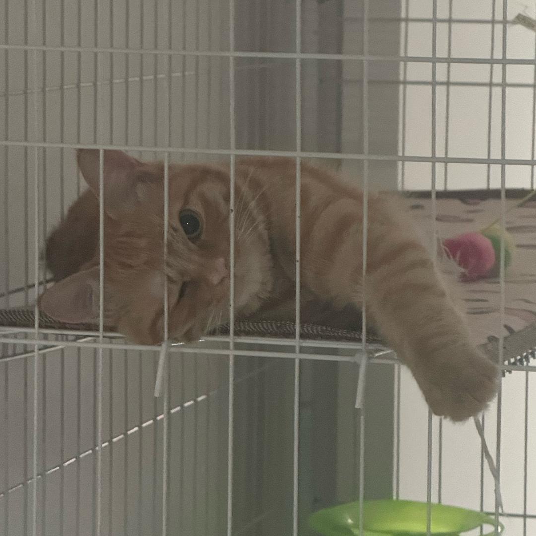 古希腊掌管比亚迪的神