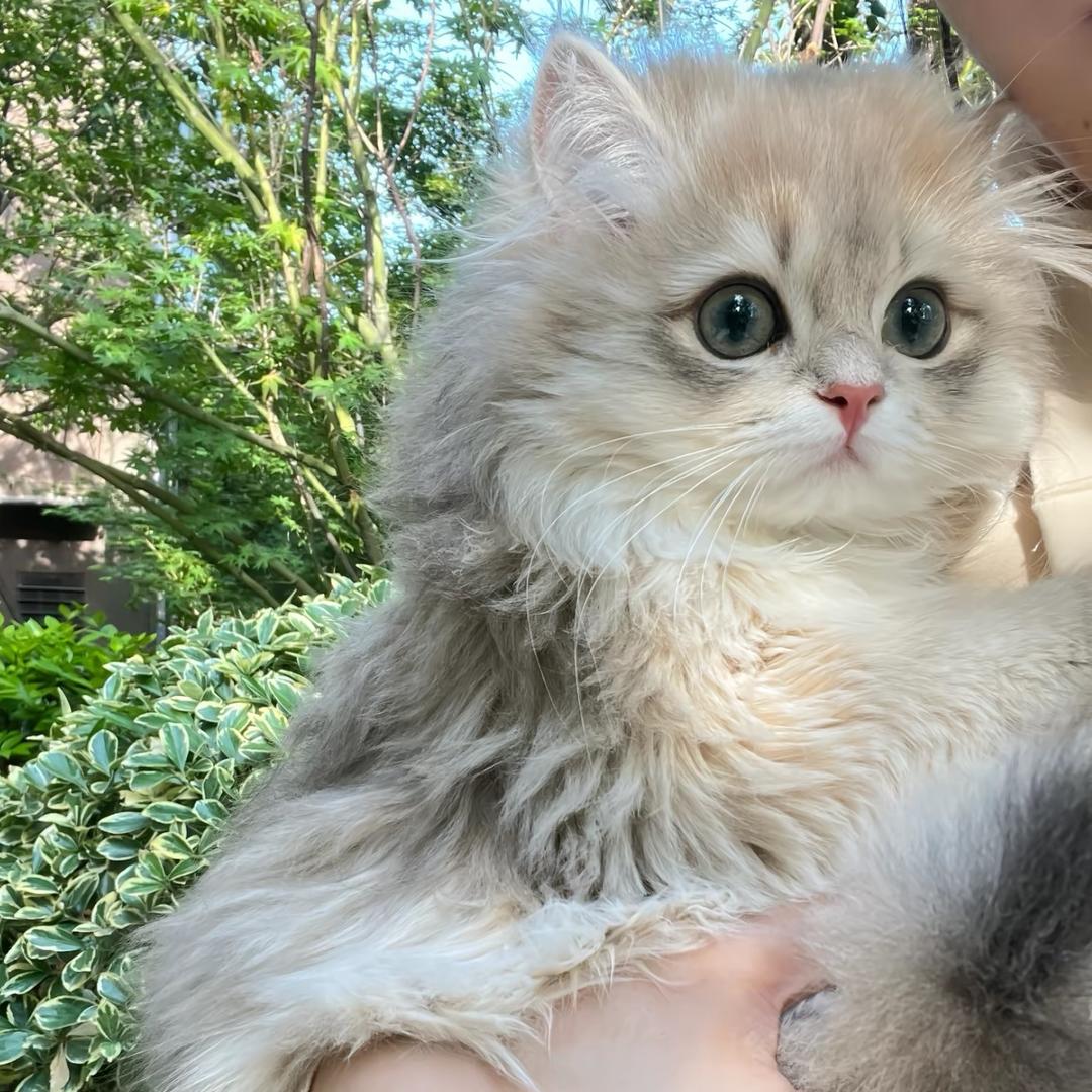 ：：：：