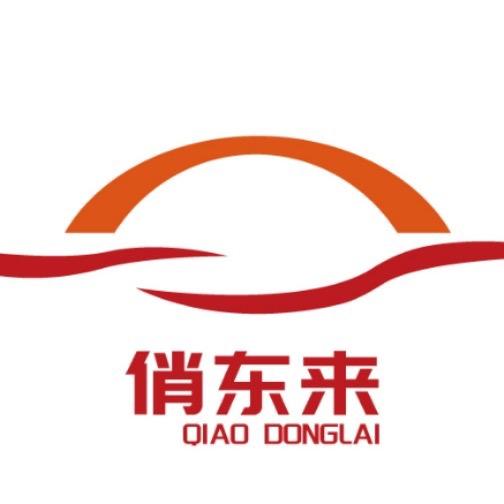 俏东来汽车用品