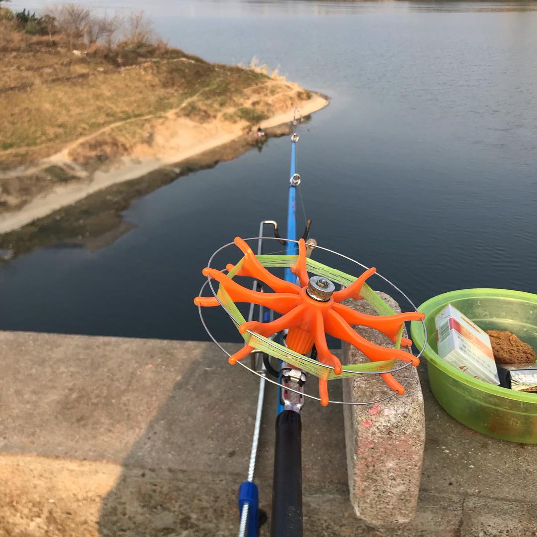 Hi.     禾花鱼   (广西柳州)