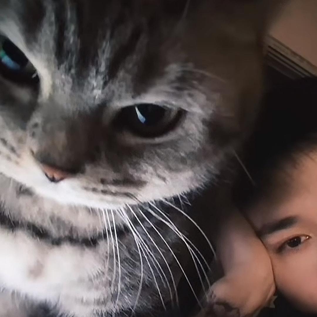 海豹🦭