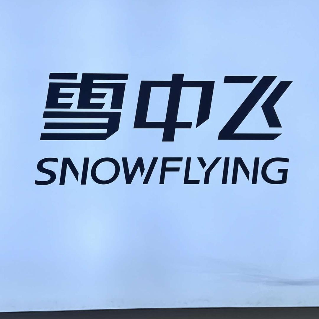 雪中飞