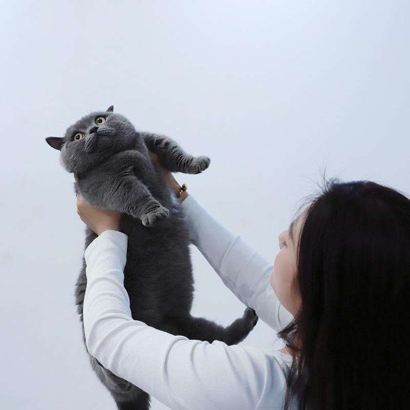 小棉花糖