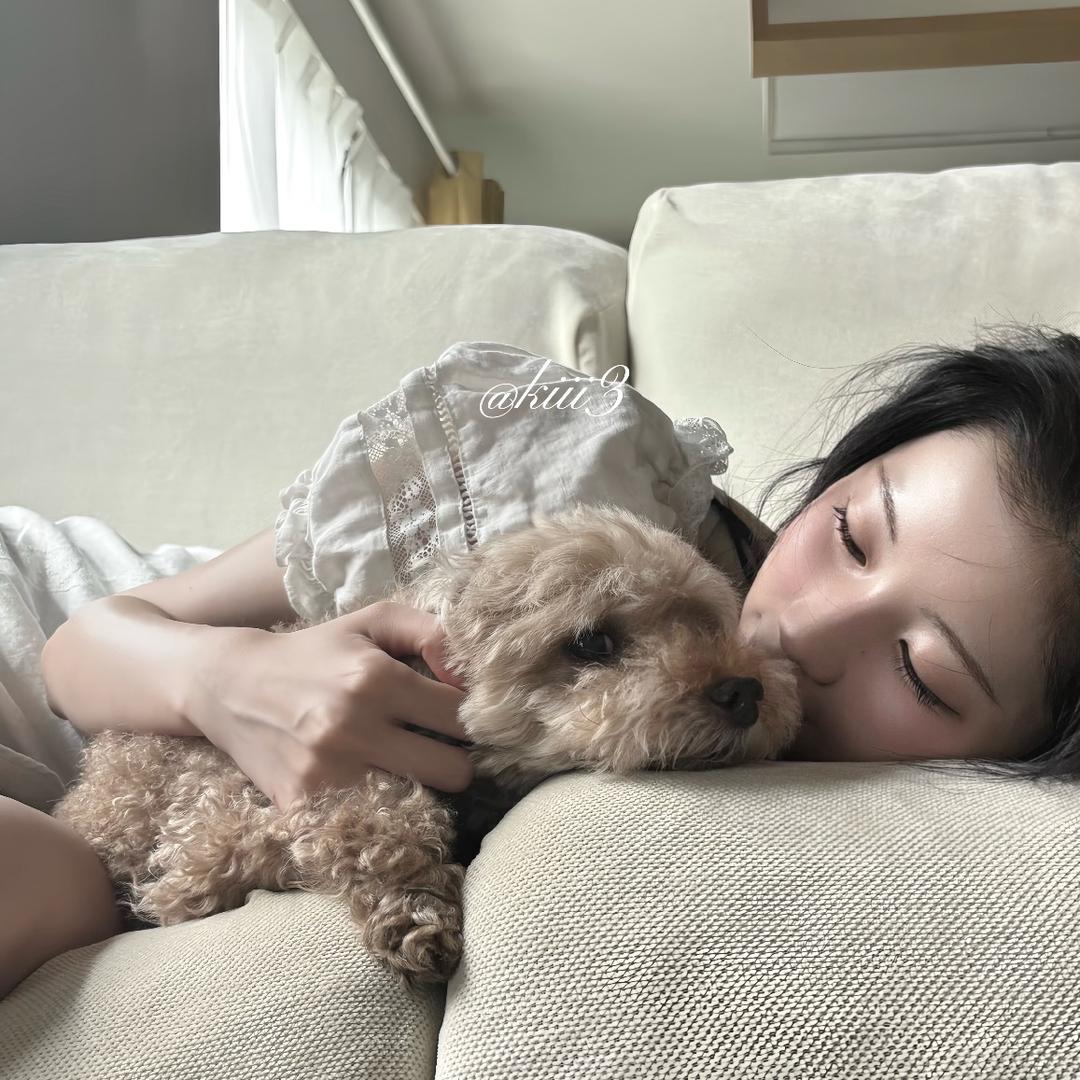 悲伤卷心菜