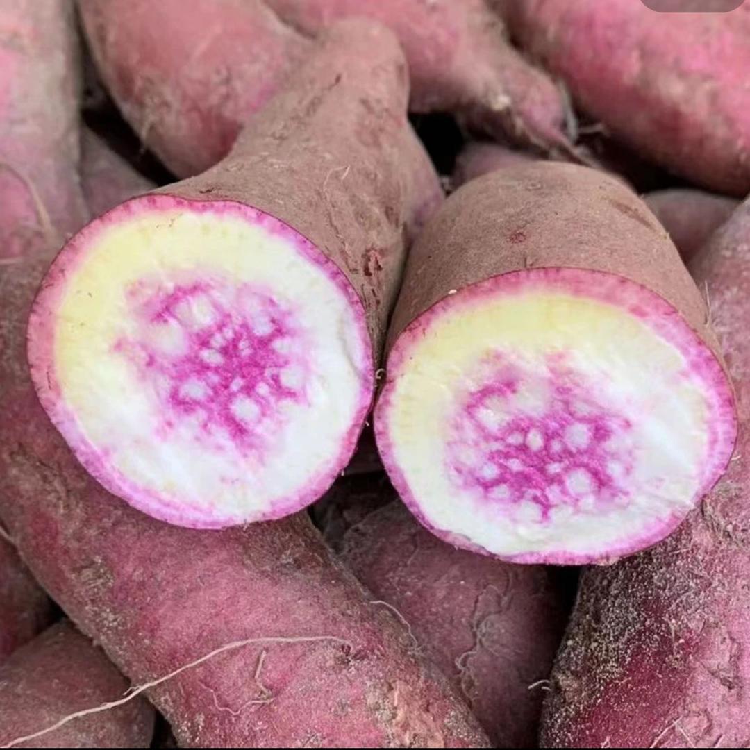 伟玲薯业（南宁农产品供应链）