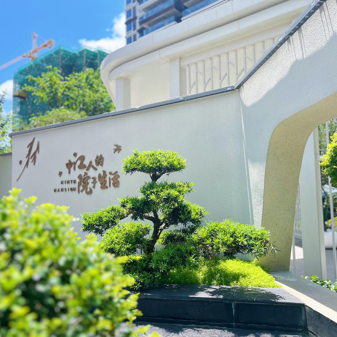 九著·杨柳岸
