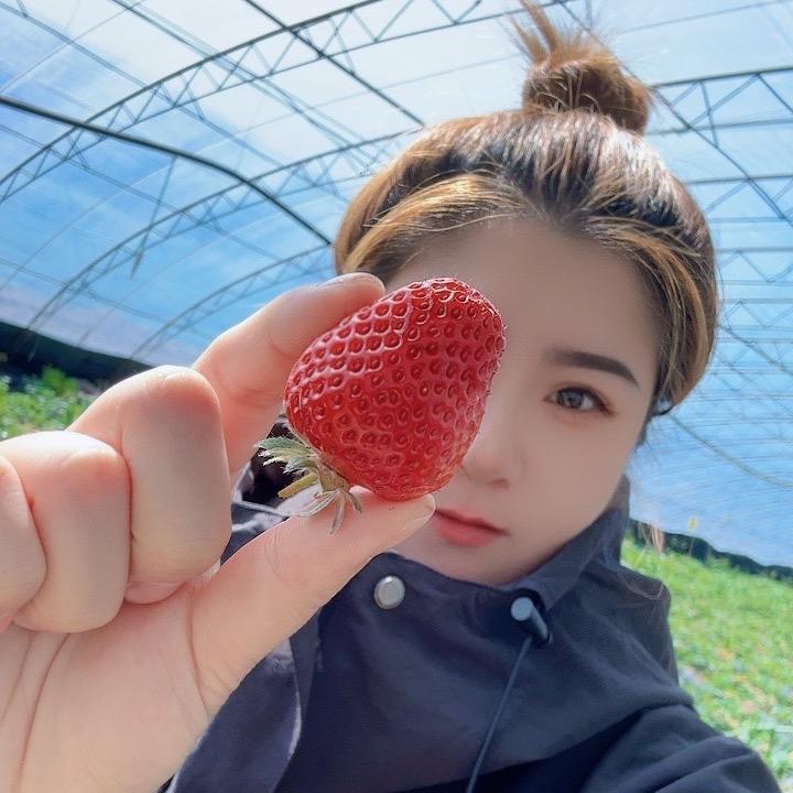 橙子来啦🍊