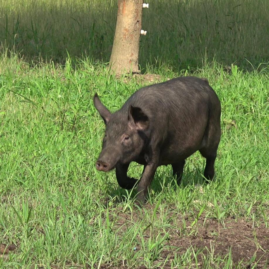 九亩地农品生活精选铺