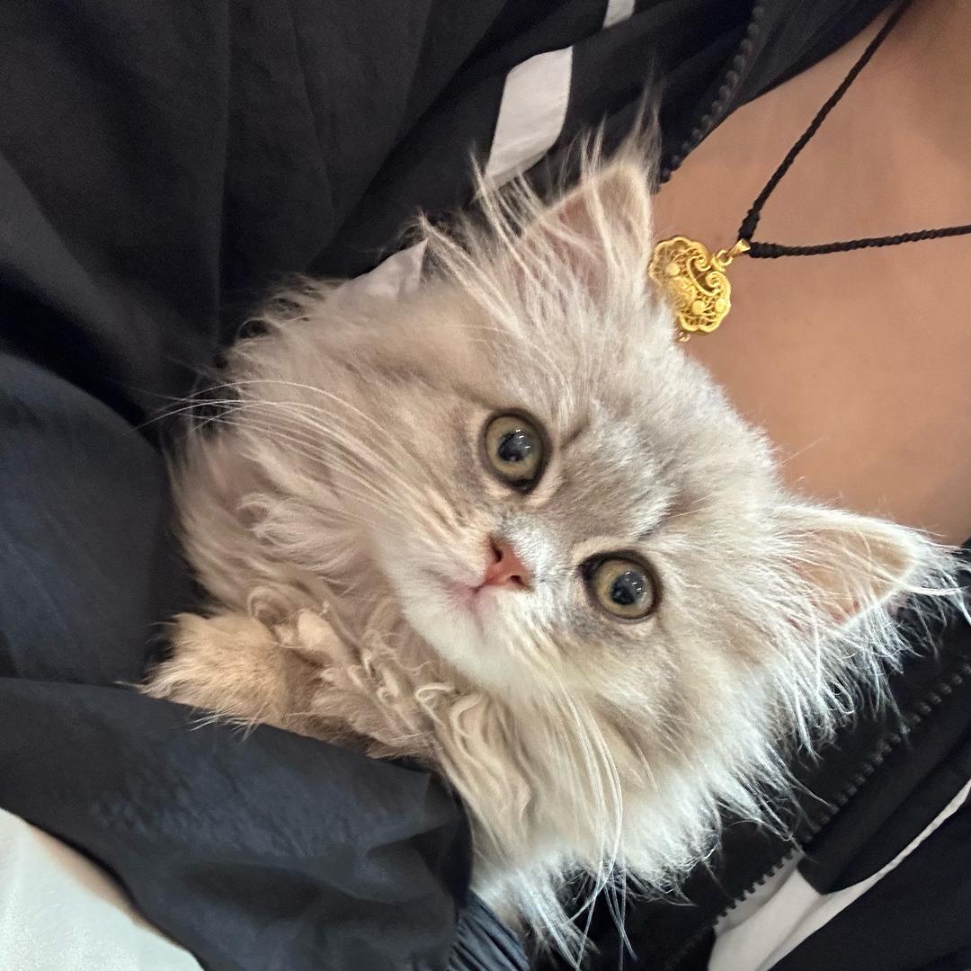 舒怡轩前台💁🏻‍♀️晶晶😘