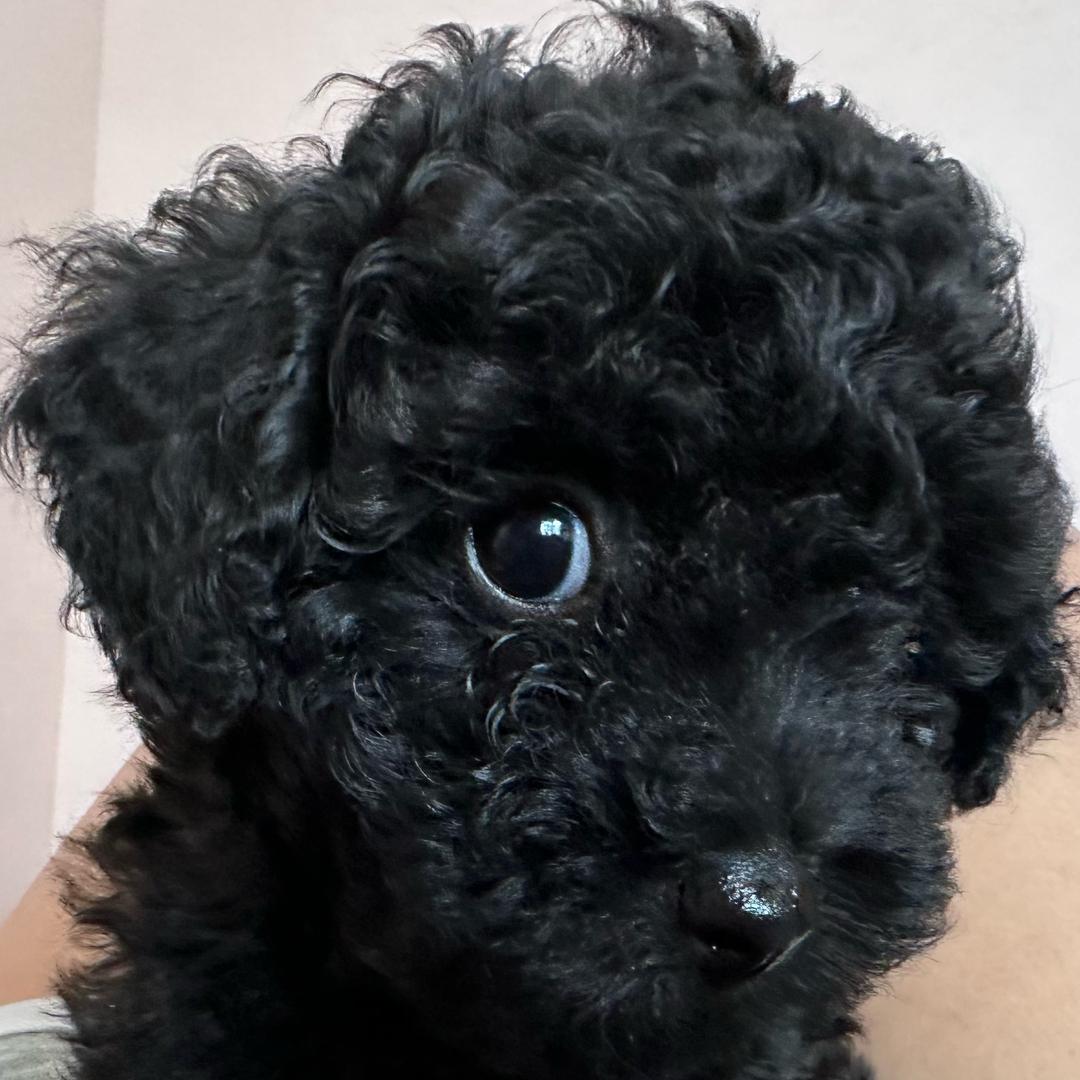 别说别问别期待