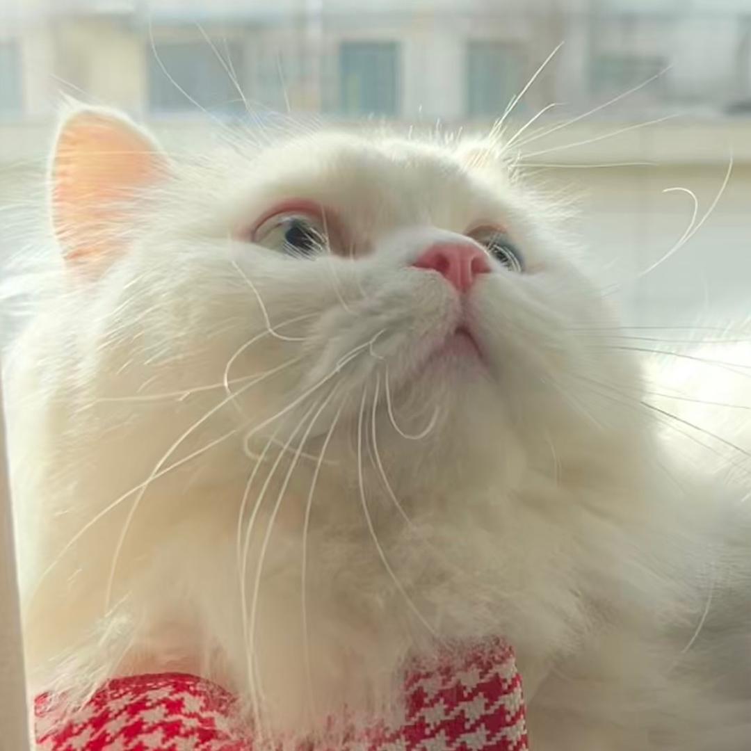 酒儿老板的offer