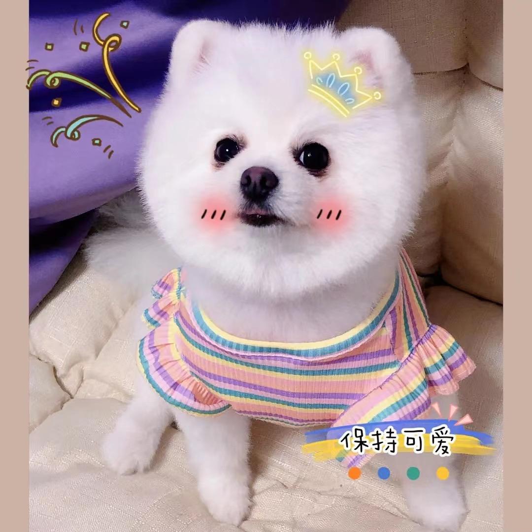 😊头像
