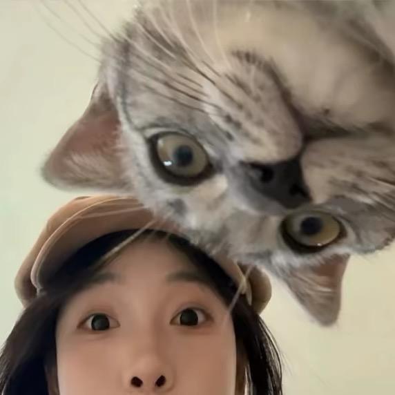 妥妥