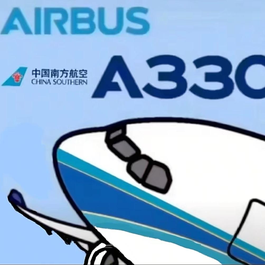 一架南航的A330（反飞马）