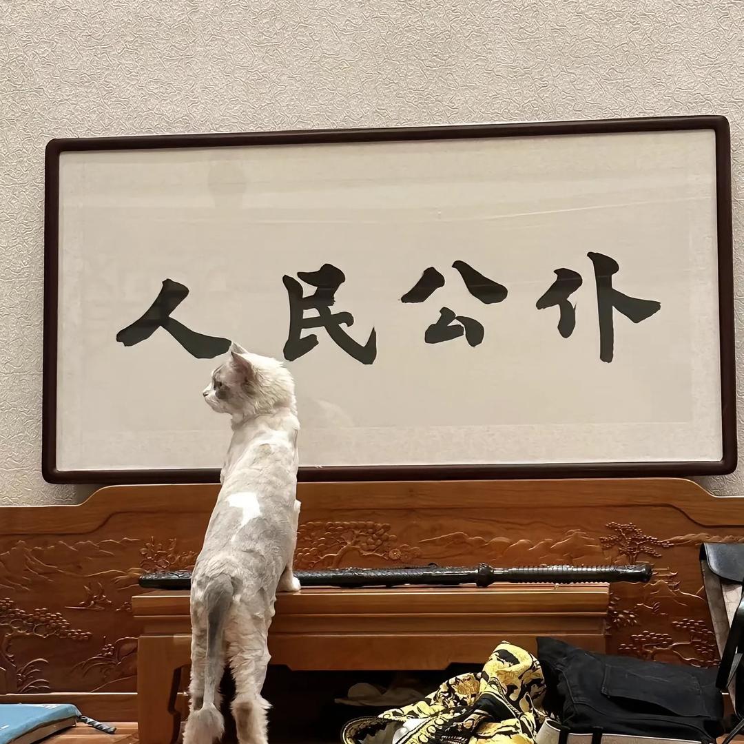 家杰