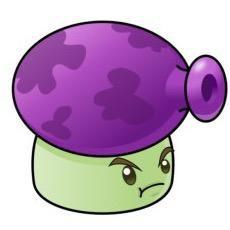 🟣🟣🟣🟣🟣🟣🟣🟣🟣🟣