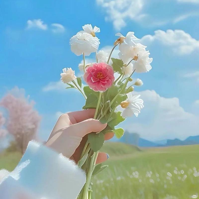 香芋