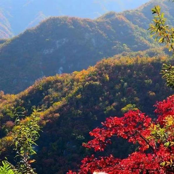 猿神山风物志