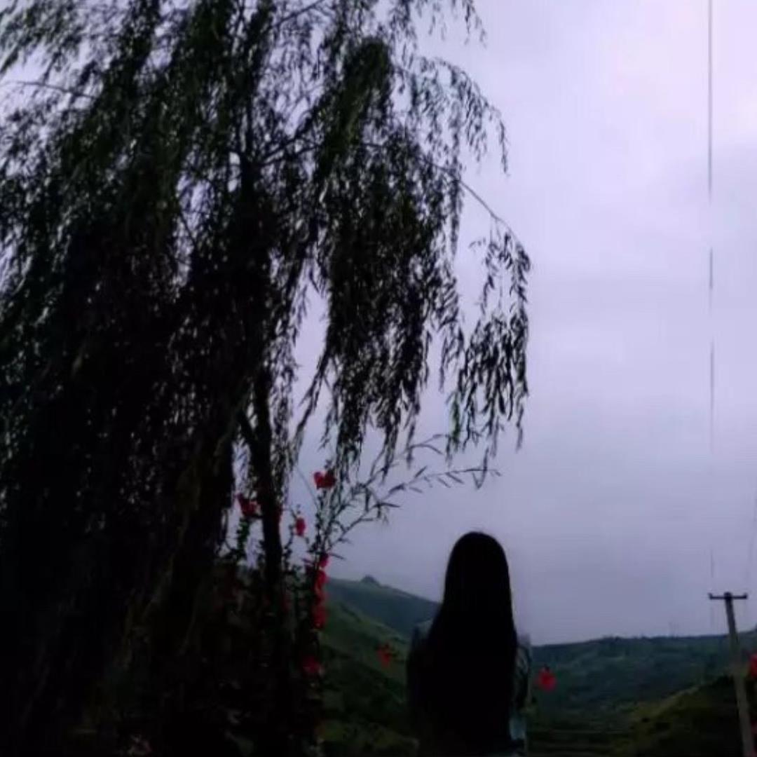 佮不来🌸