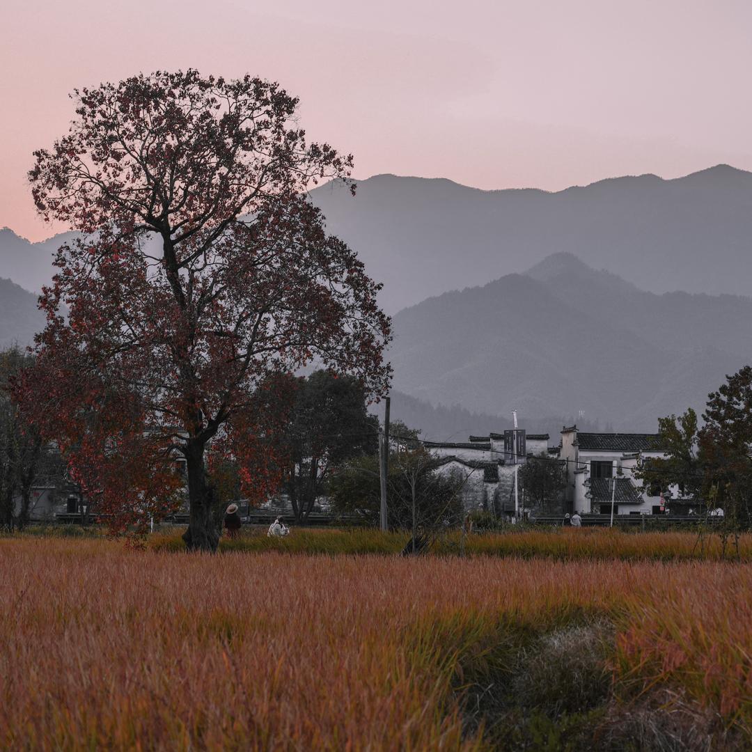 S姐趣旅行