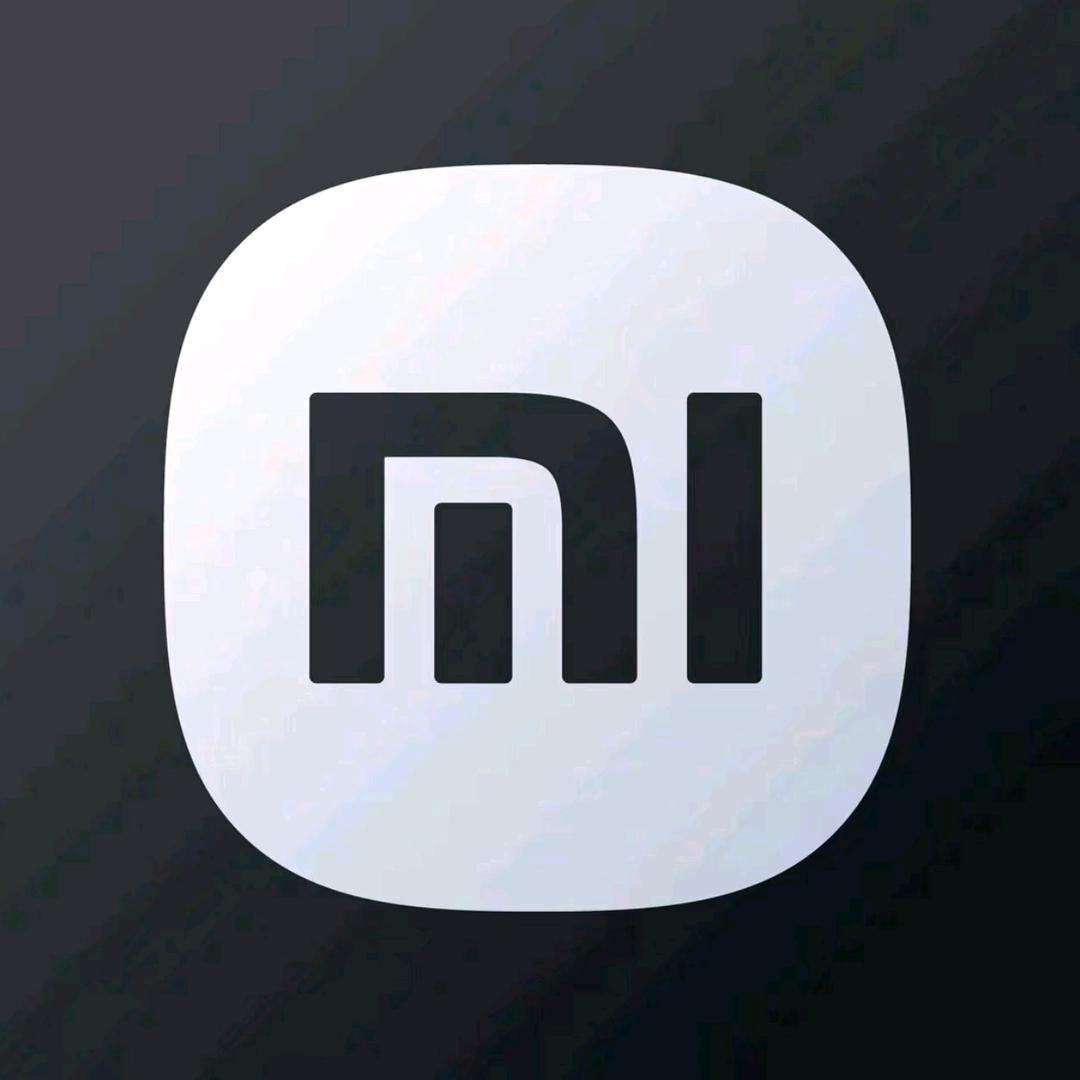 小米汽车-包河万达店 静怡