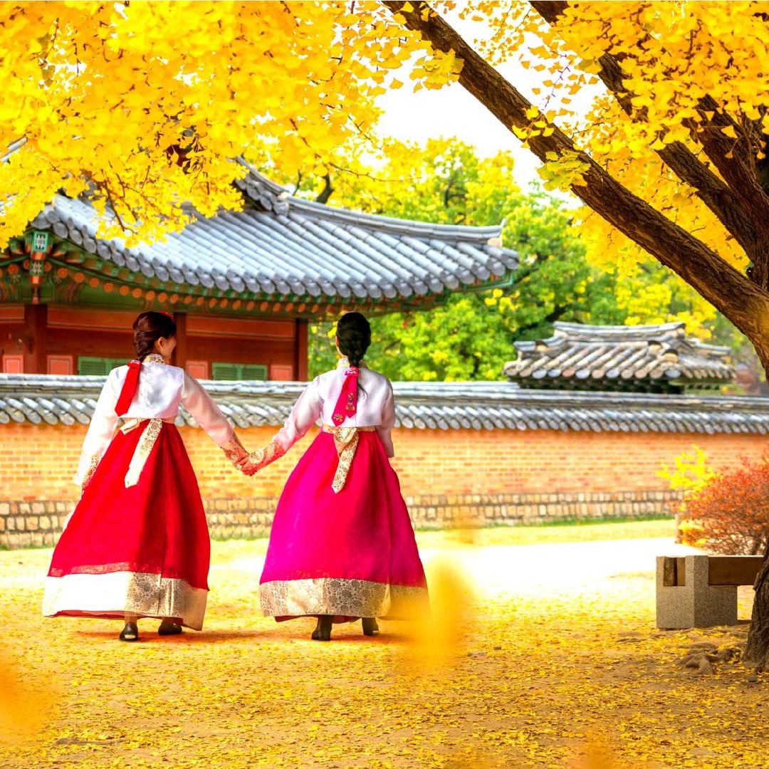 佰纳国旅-韩国小林