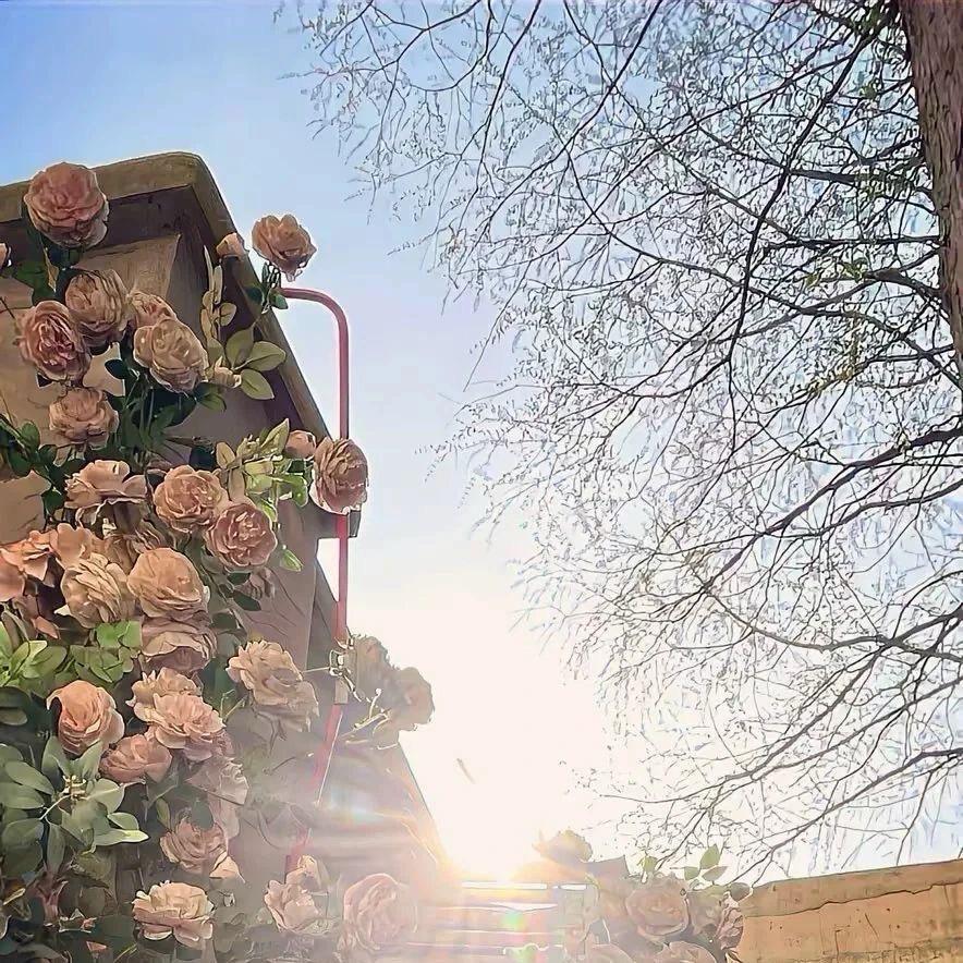 XIMAX运动户外广场