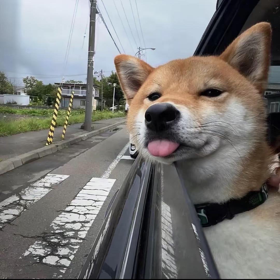 @ㅤㅤㅤ