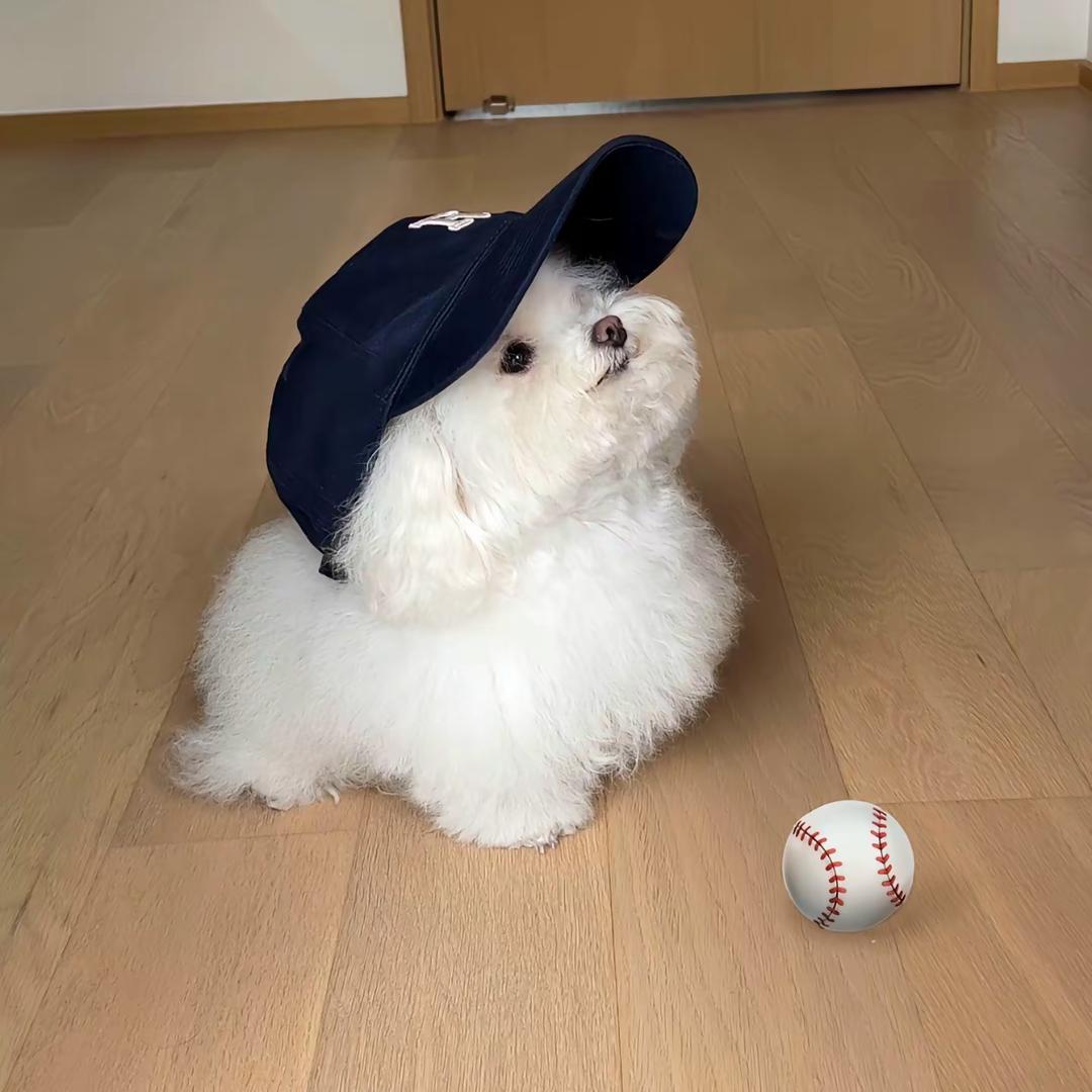 白白.