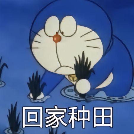 株式会社