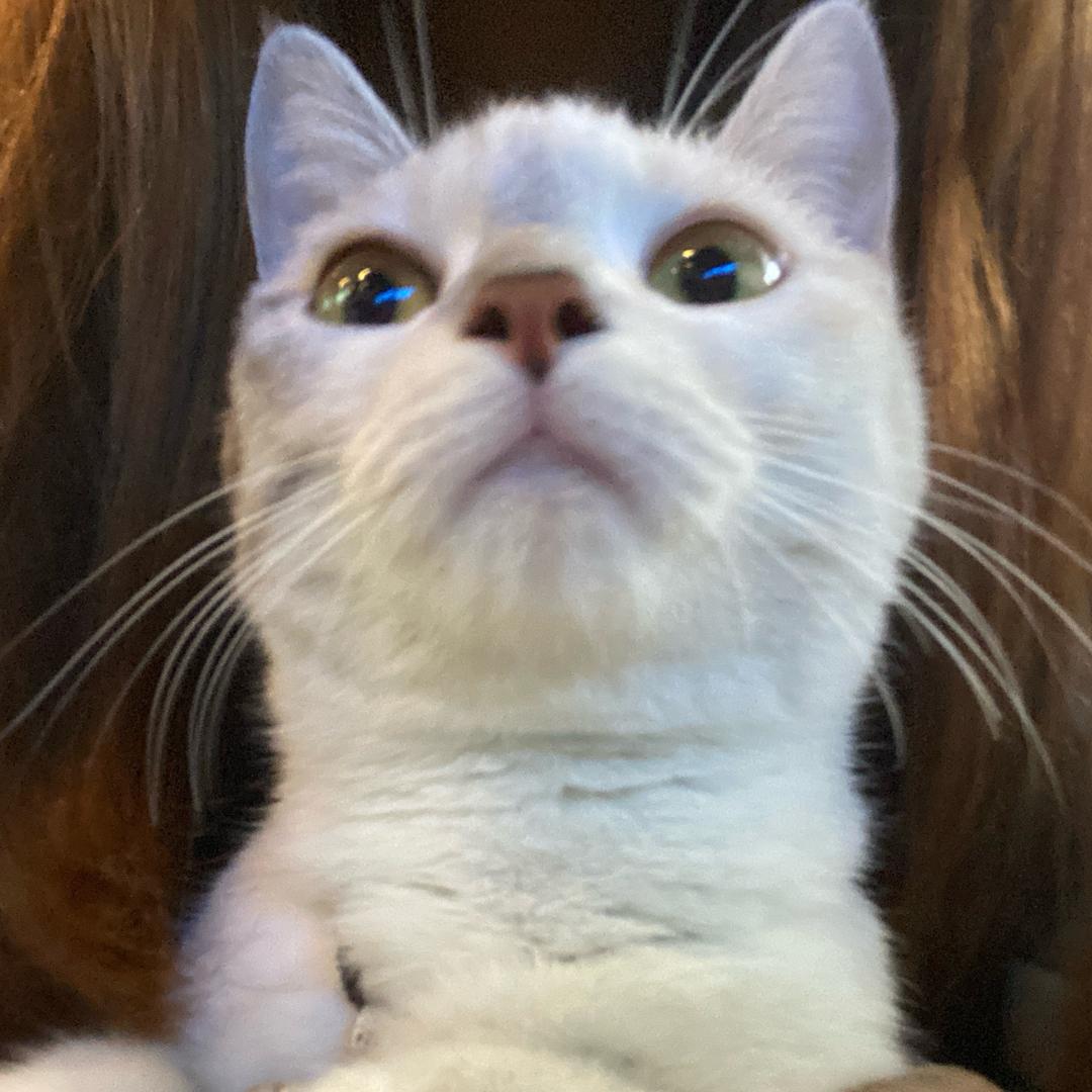 小美就小美了