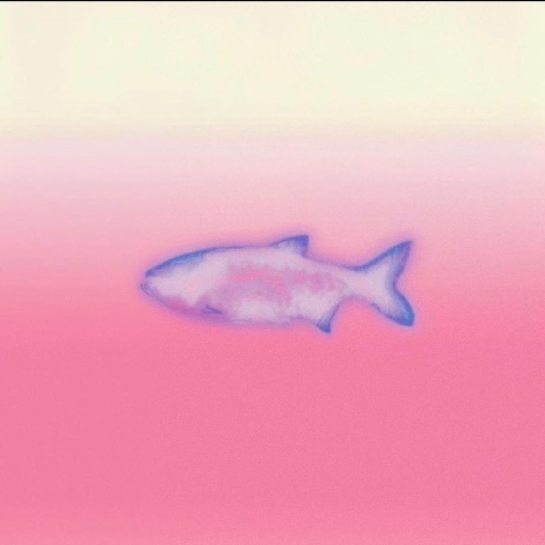 菲菲超哇塞（奋斗版）