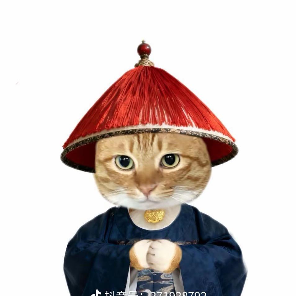 特种猫