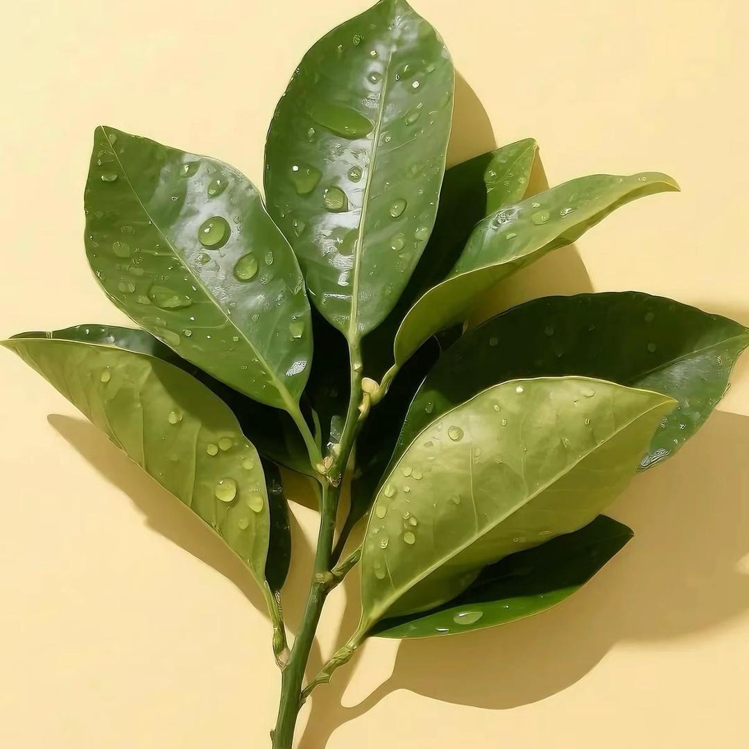 有趣剧说💫💫💫