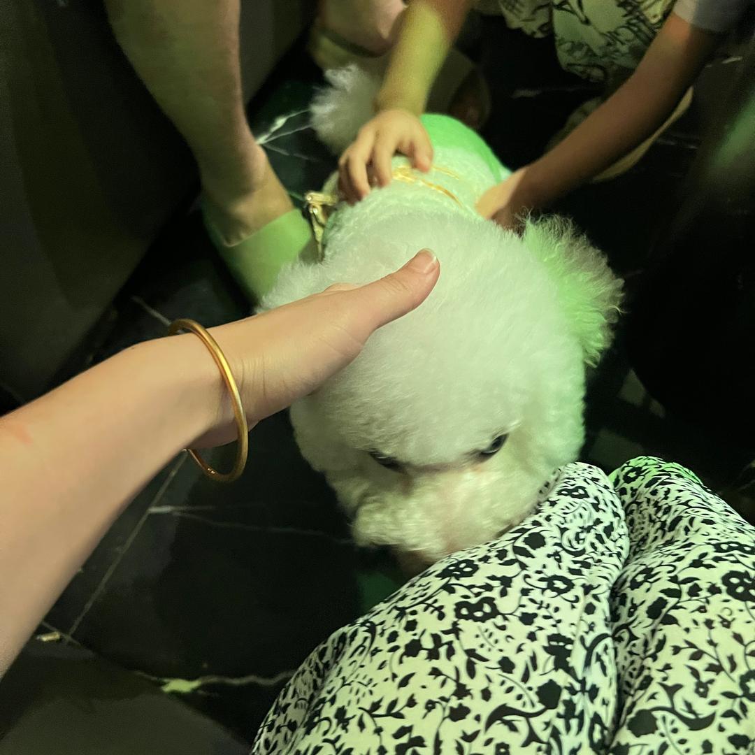 @果粒陈