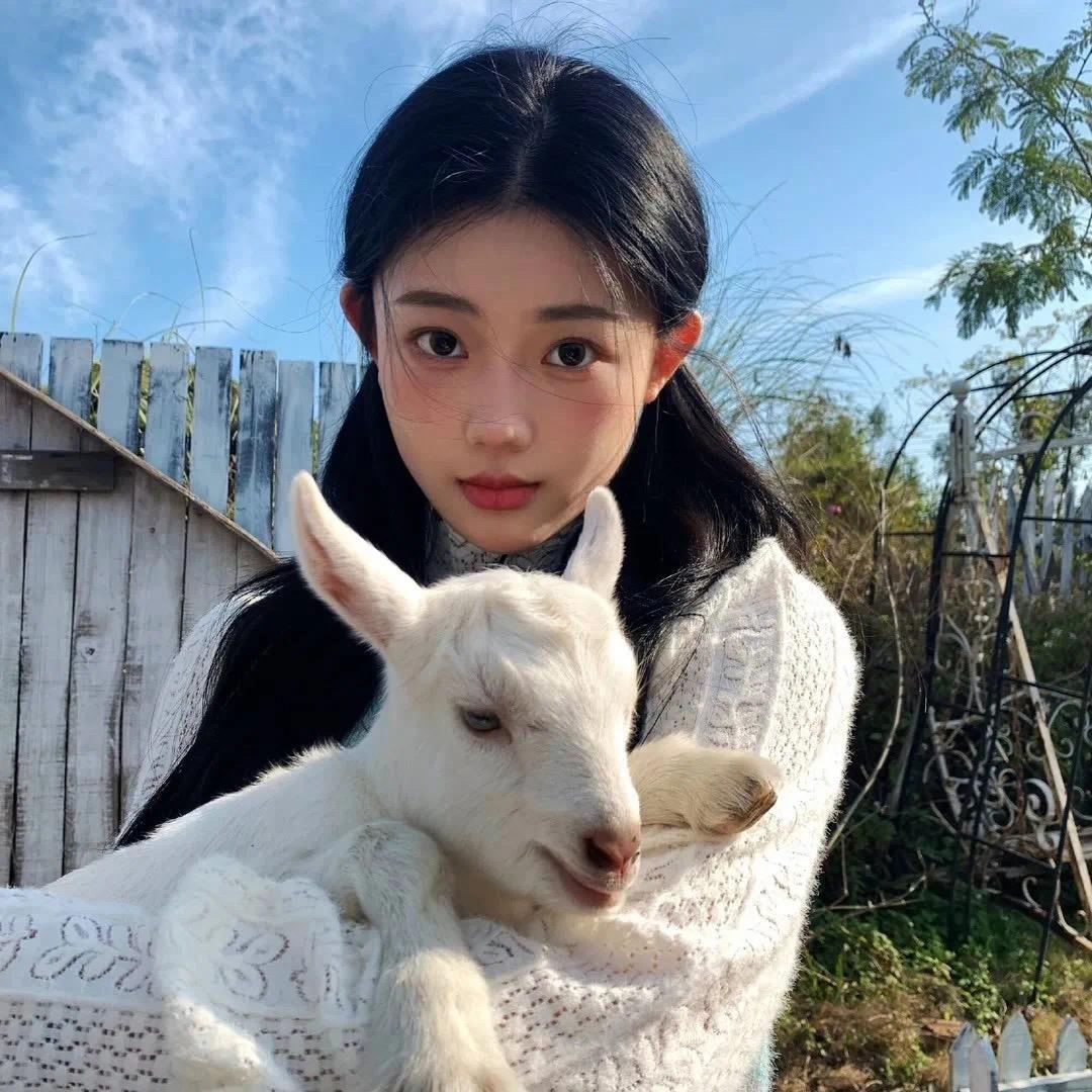 ✨糖醋排骨