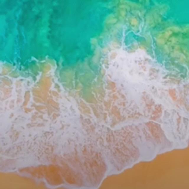 颜颜