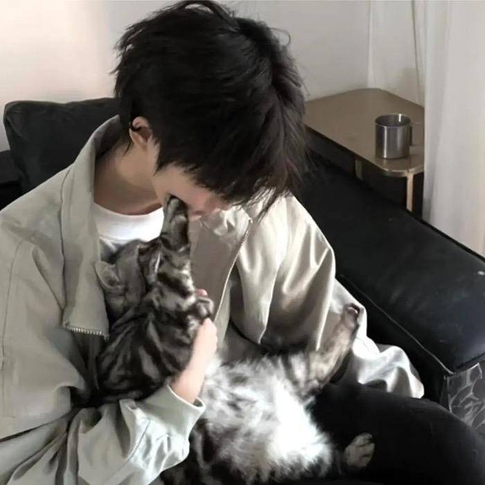 叮當猫