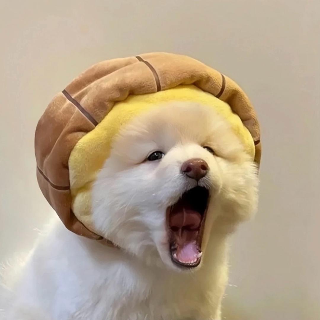 等等小猫鬼
