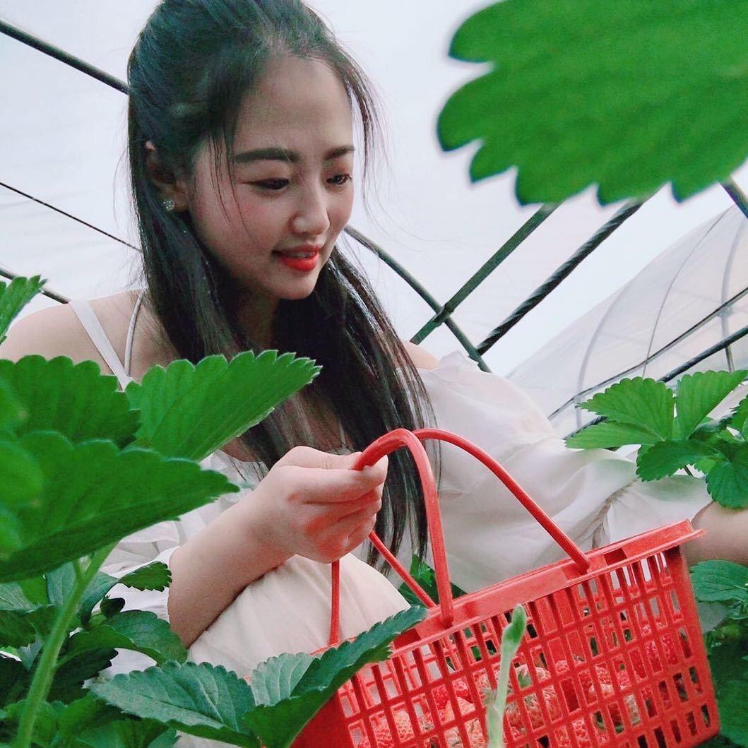 小娇