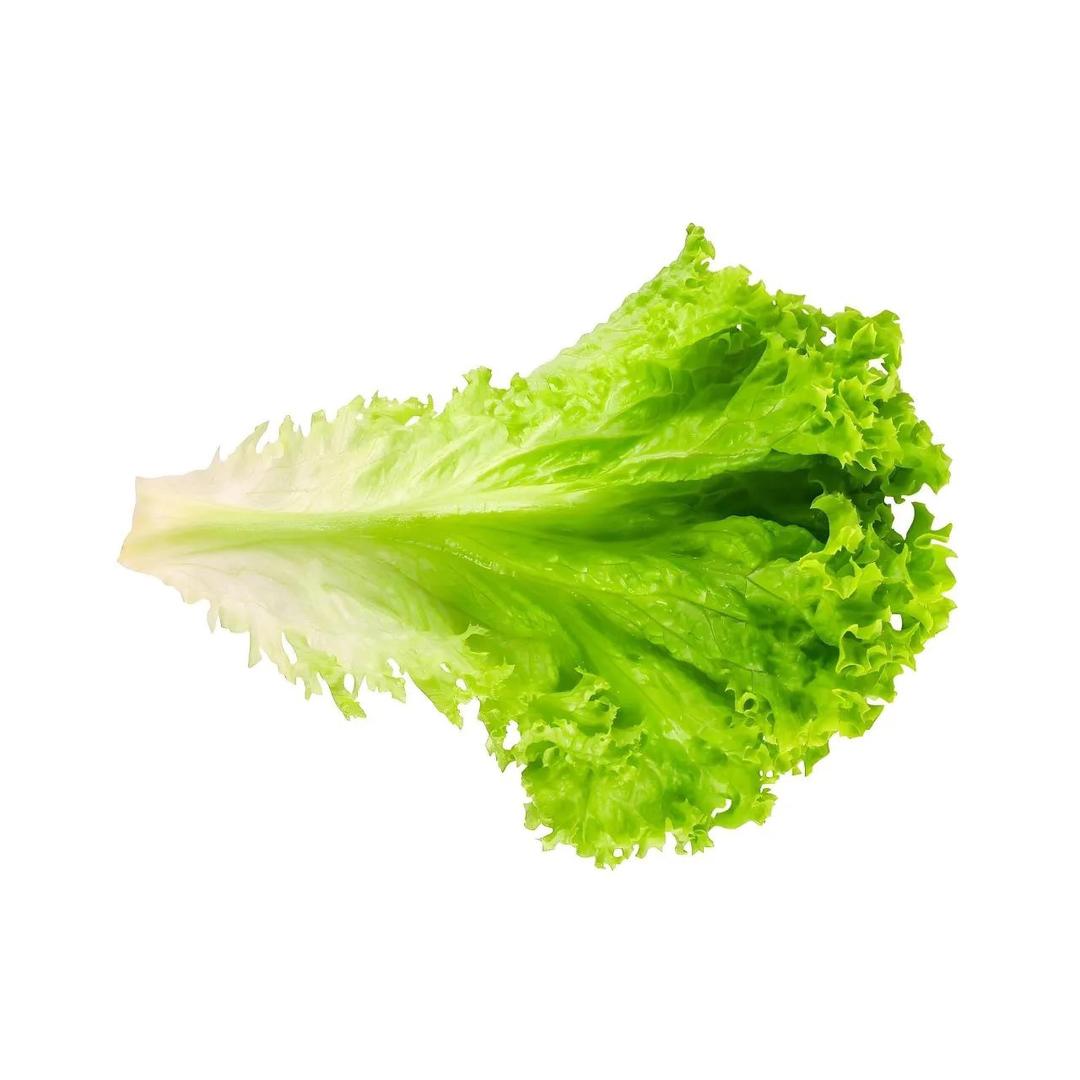 K u