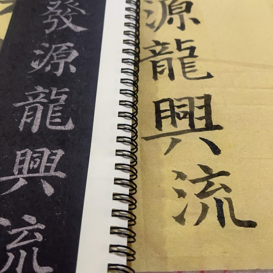 小龙学书法(沉淀版