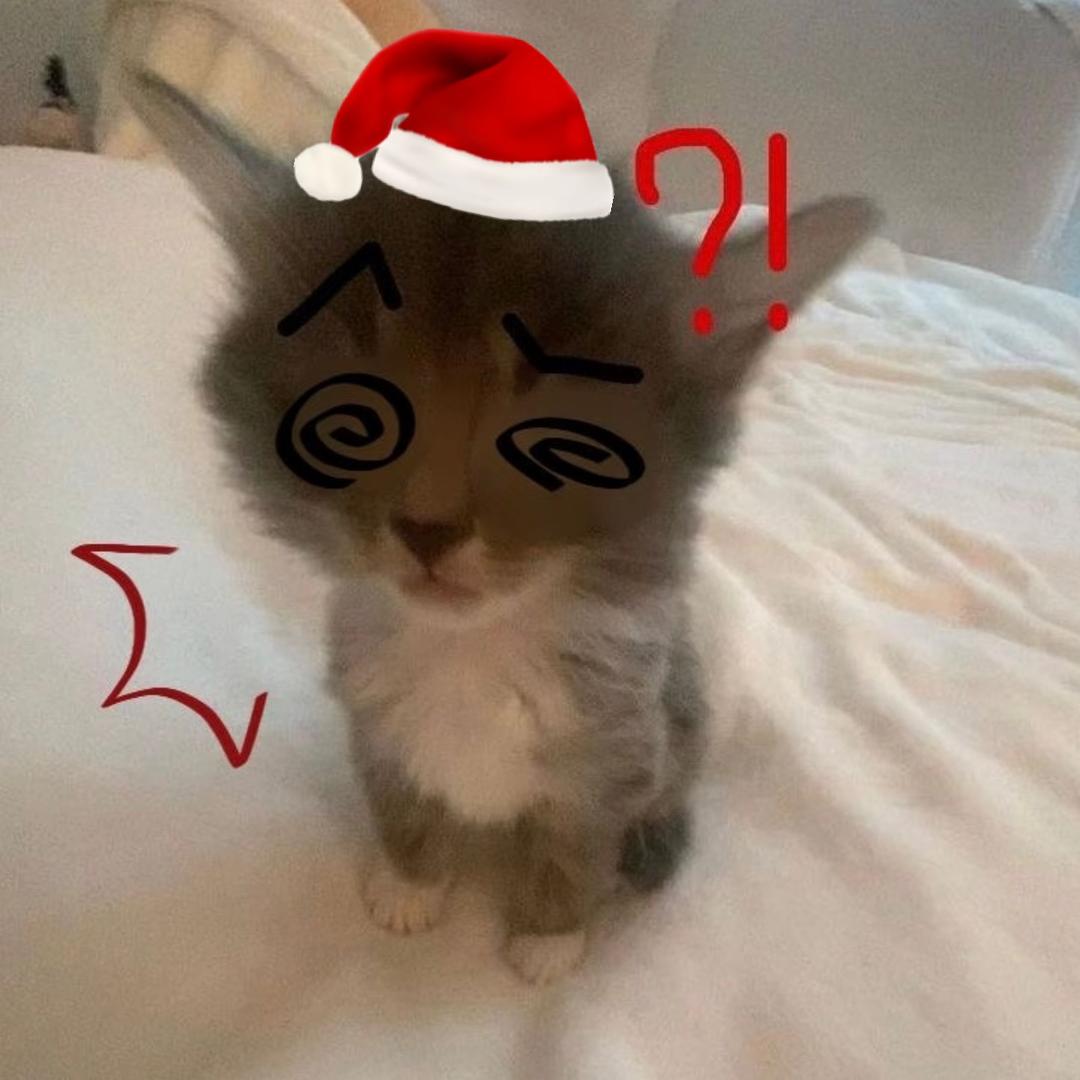 人类虫脆是一群红蛋