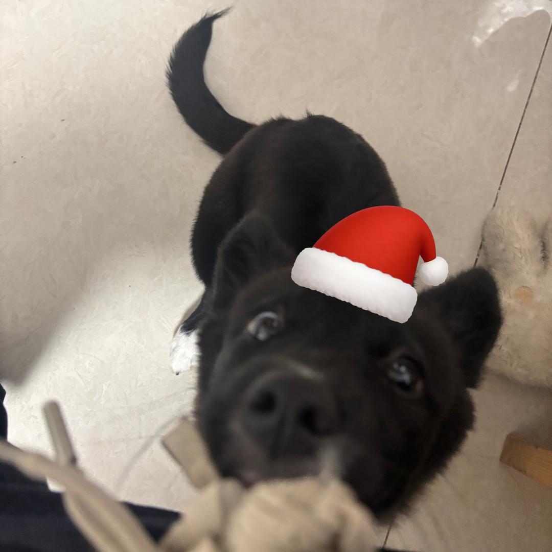 你啊总是上我的当呢